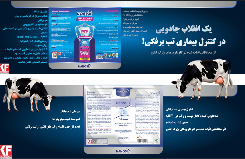 Untitled design (52)