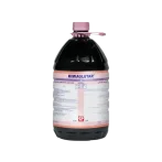 205-removebg-preview