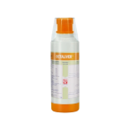 22-removebg-preview (1)